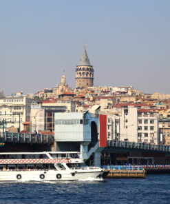 Bosphorus Cruise - Image 4