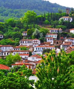 Sirince Village Discovery Tour: Wine, History & Charm
