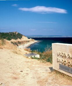 Daily Gallipoli And Troy Tour From Istanbul - Image 3