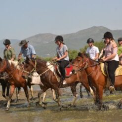 Horse Safari From Selcuk 7 Horse Safari From Selcuk - Image 4