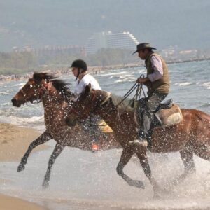 Horse Safari from Selcuk