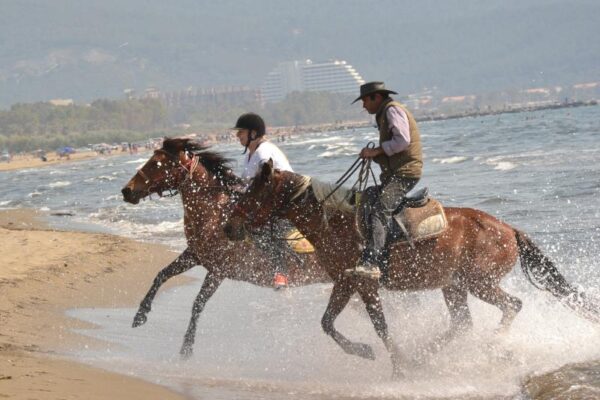 Horse Safari from Selcuk 6 ttt